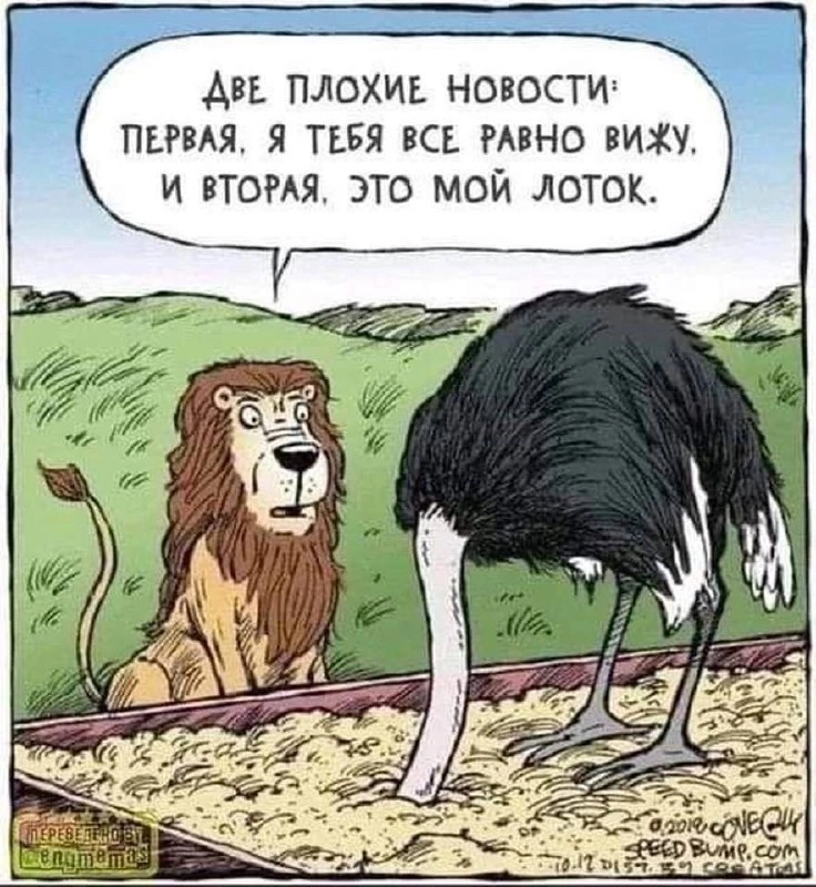 Сетка — социальная сеть от hh.ru