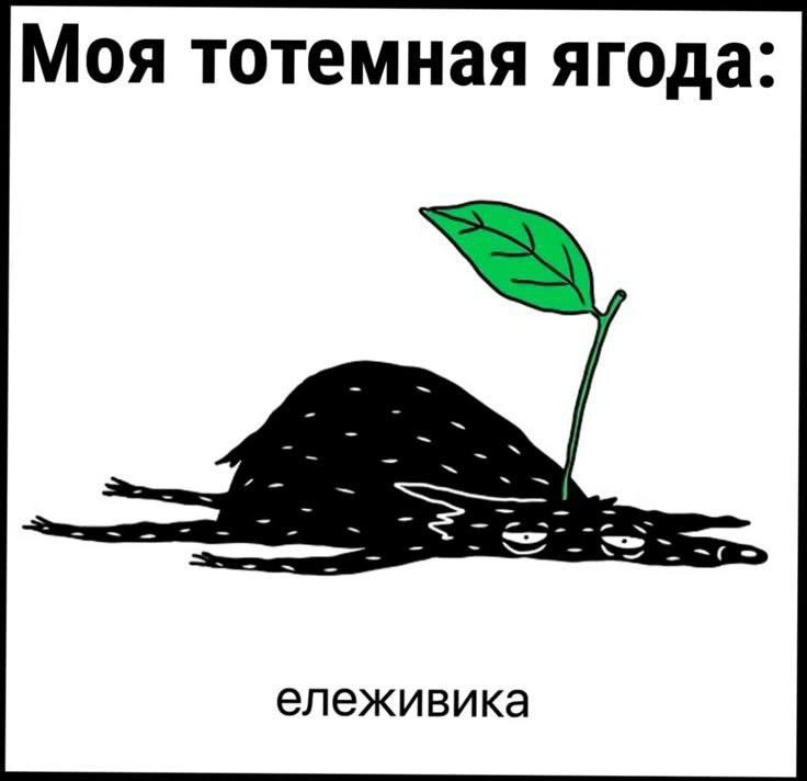 Сетка — новая социальная сеть от hh.ru