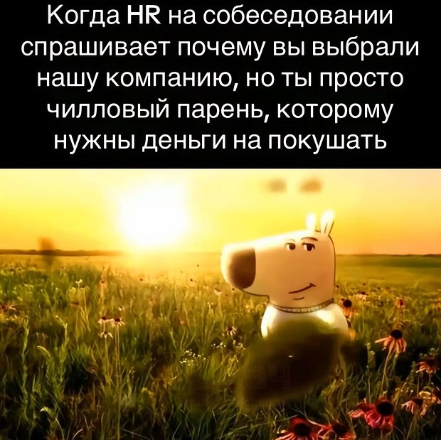 А еще никак не могу я понять эти мемы про чилового парня. Нужна пояснительная бригада.
Или люди теперь деляться на: "бу! испугался?" и .. | Сетка — новая социальная сеть от hh.ru