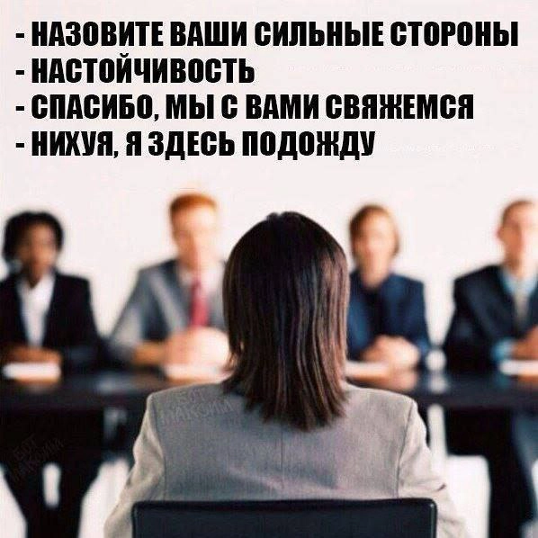 Сетка — новая социальная сеть от hh.ru