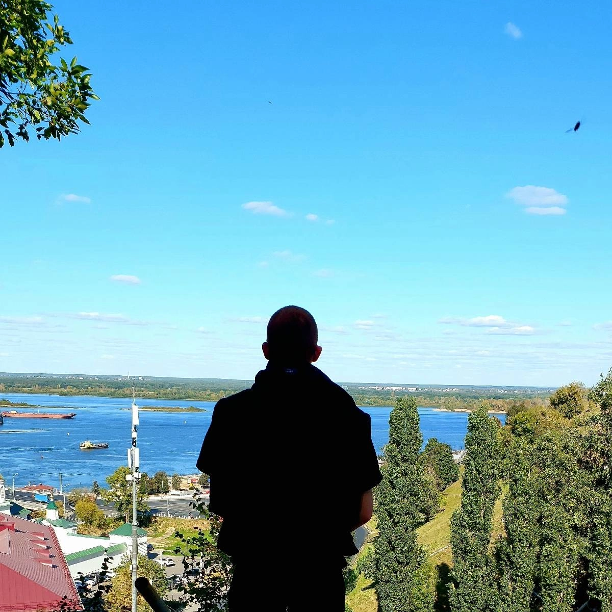 profile avatar