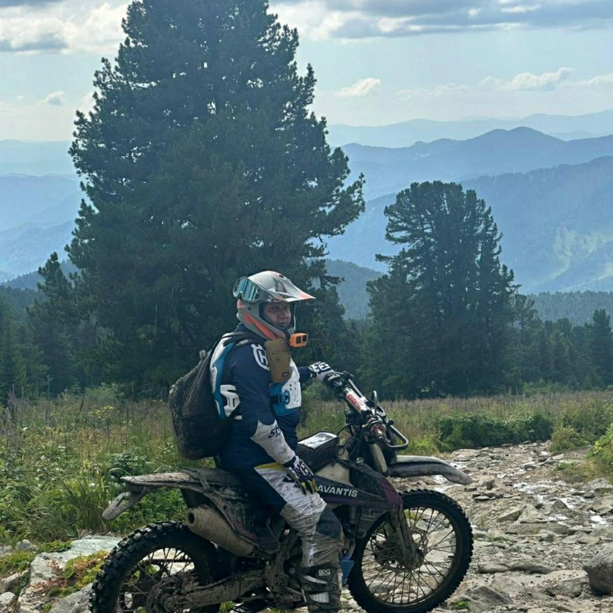 profile avatar