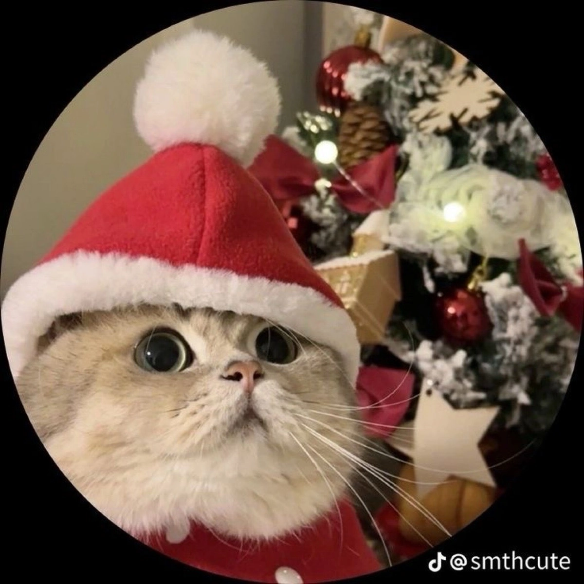 Антон Попков