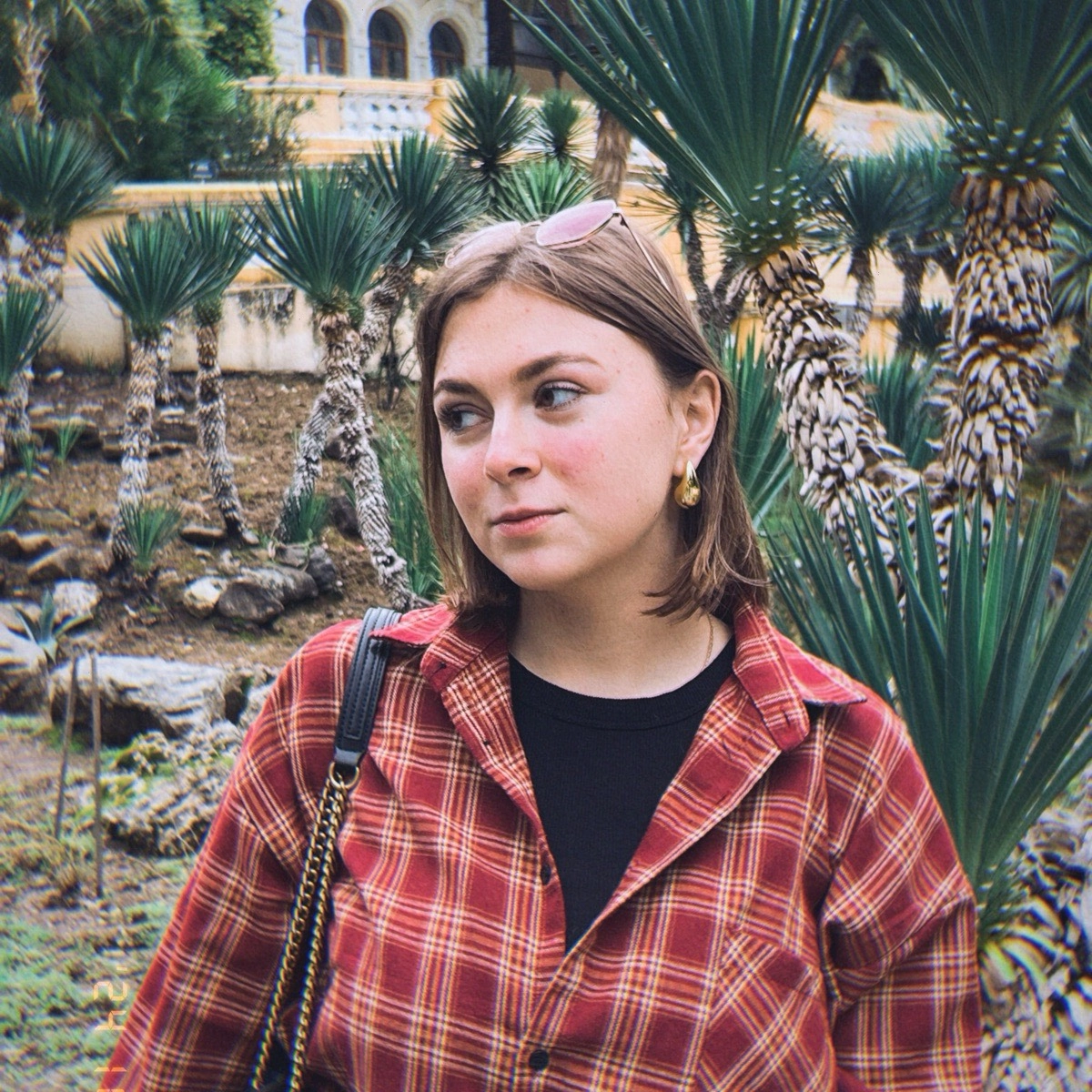 profile avatar