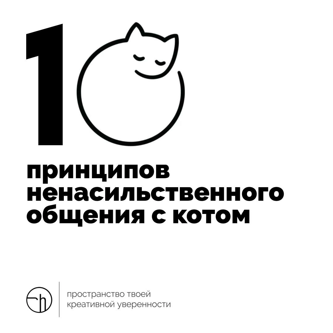 Работайте над собой, коты тоже люди!
#10идейвдень by @creativehappens | Сетка — новая социальная сеть от hh.ru