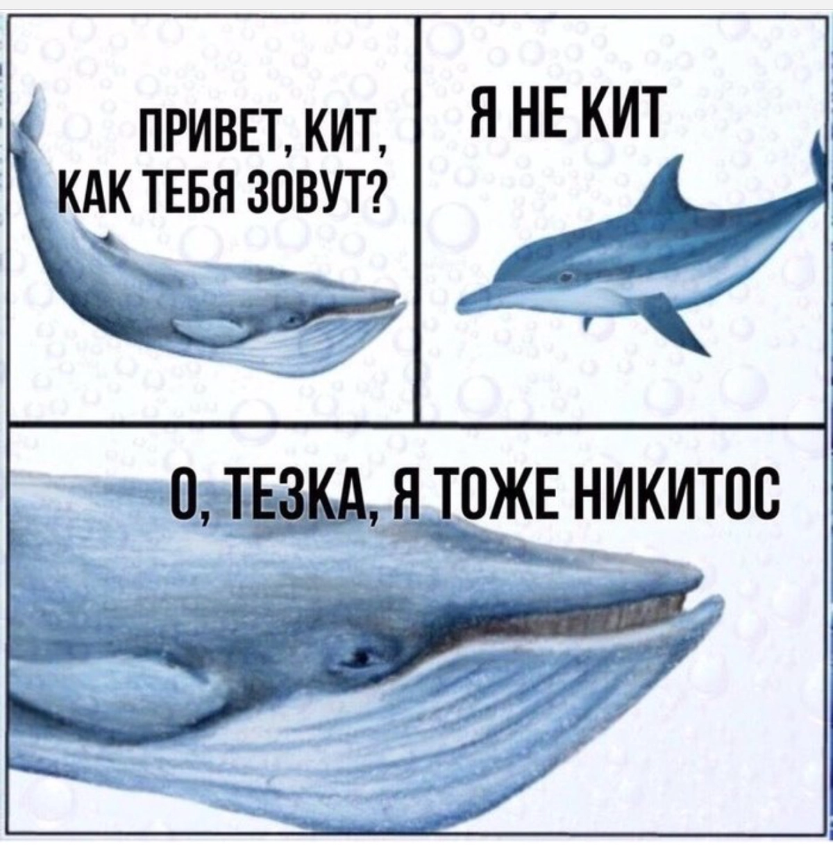 Ржу все утро😁
#пятничное
#career
#project
#product | Сетка — новая социальная сеть от hh.ru