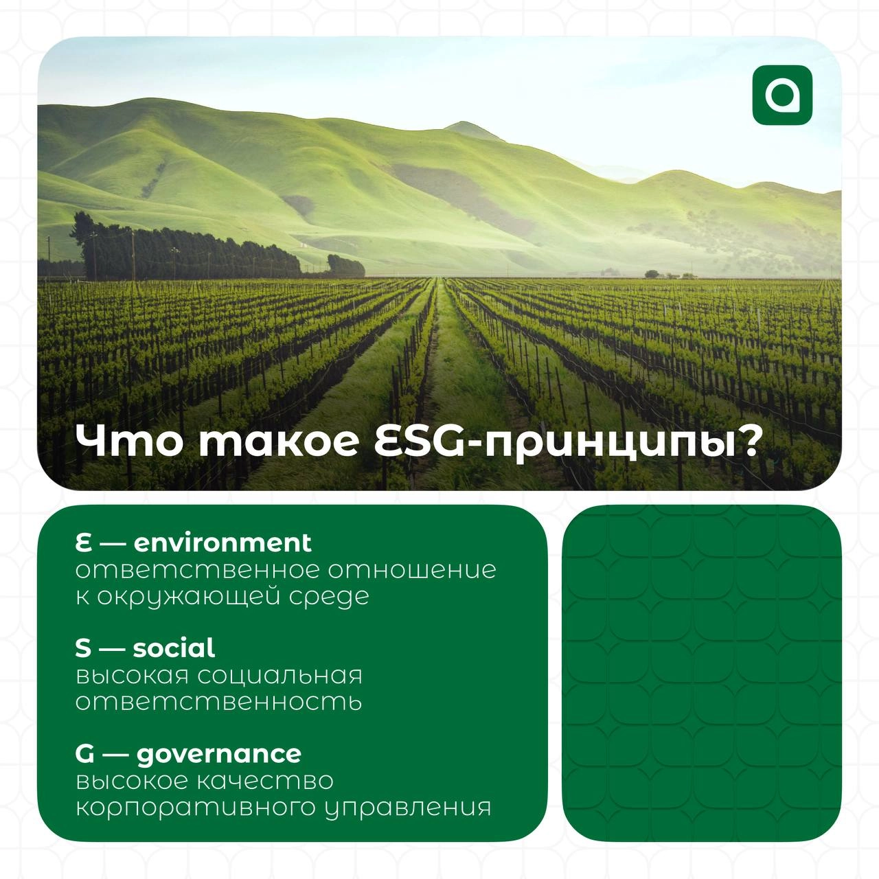 АРМ.Эко снова на связи! Ты когда-нибудь слышал о ESG-принципах?
Аббревиатуру ESG можно расшифровать как «экология, социальная политика и корпоративное управление» | Сетка — новая социальная сеть от hh.ru