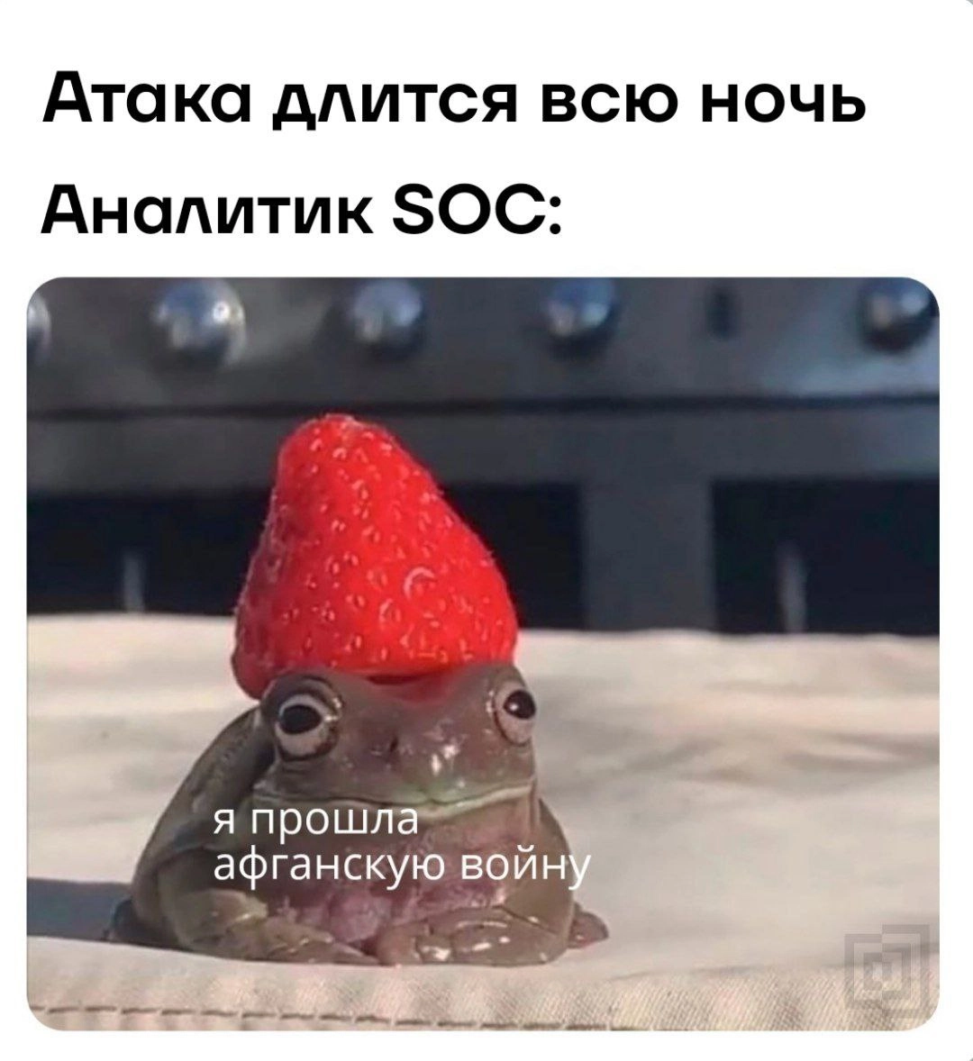 Желаем вам отоспаться в эти снежные выходные 🦖
#безопасныймем
🏠 Кибердом & Бизнес | Сетка — социальная сеть от hh.ru