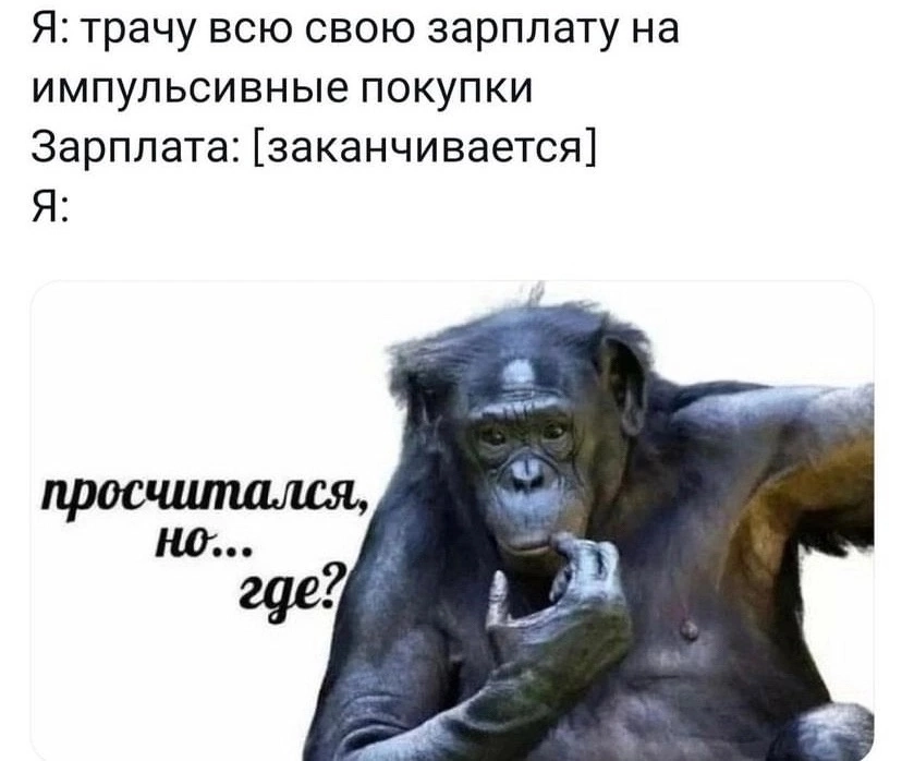 Сетка — новая социальная сеть от hh.ru