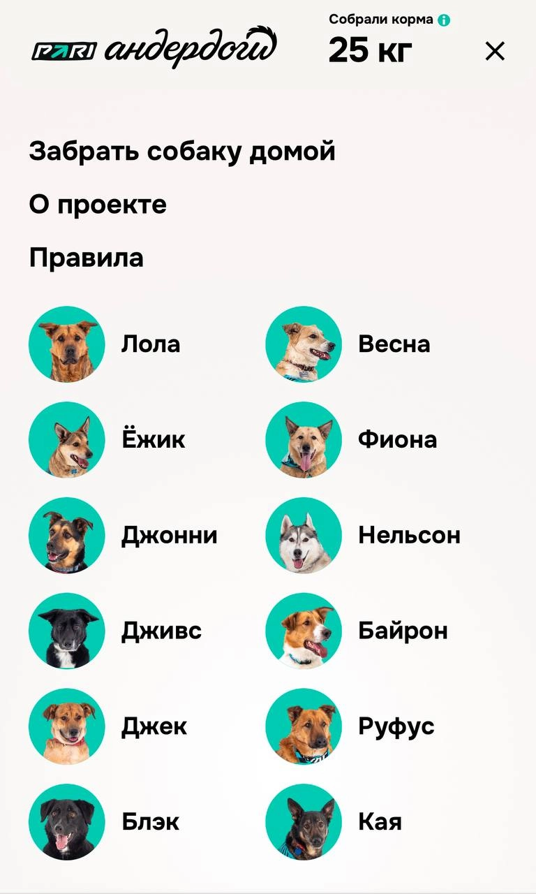 🐶 Милая акция Pari — Андердоги 2.0
В прошлом году БК сделала спец со Спортсом. Теперь сами. 
На лендинге прогнозы и анкеты песелей, их можно забрать домой | Сетка — новая социальная сеть от hh.ru