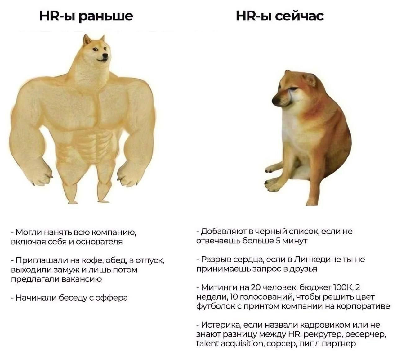 Сетка — новая социальная сеть от hh.ru