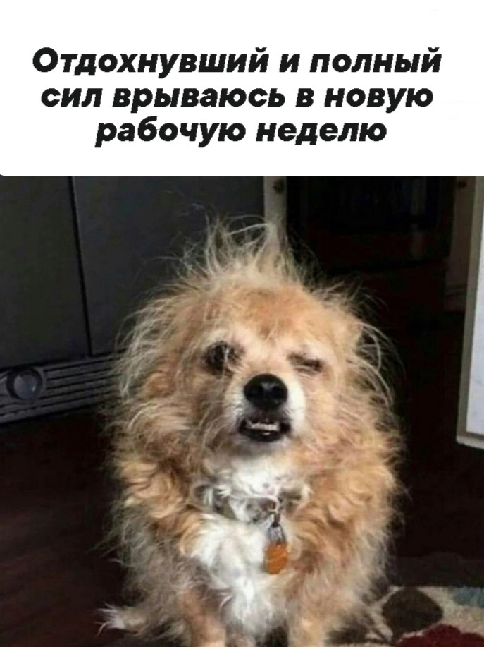 Ну че, мы?
Корпоративные воины в декабре утром, разбитые, но не сломленные😁 | Сетка — новая социальная сеть от hh.ru