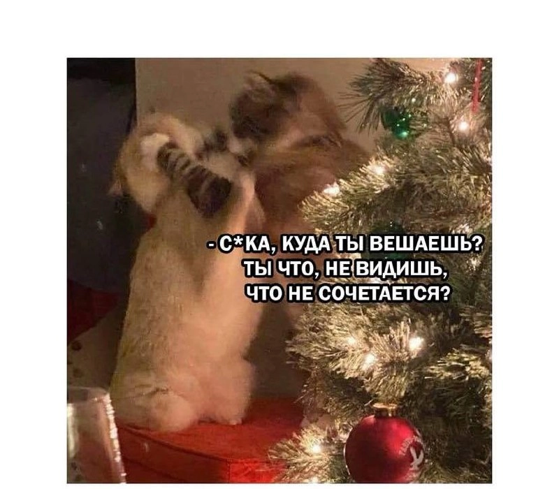 Новогодняя порция мемов подъехала 😉🎉 | Сетка — новая социальная сеть от hh.ru