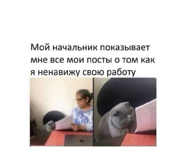 Новогодняя порция мемов подъехала 😉🎉 | Сетка — новая социальная сеть от hh.ru