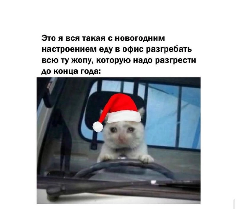 Новогодняя порция мемов подъехала 😉🎉 | Сетка — новая социальная сеть от hh.ru