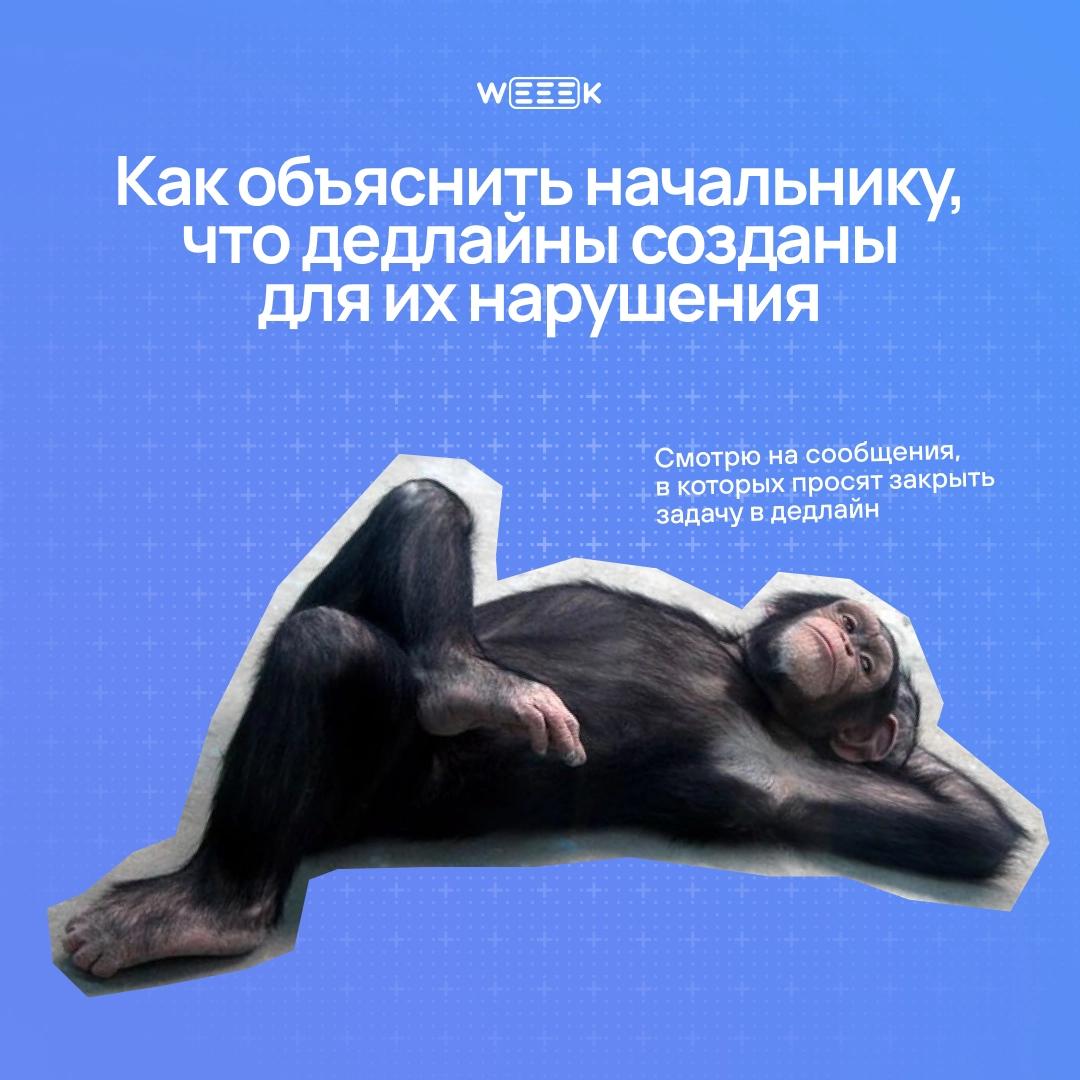 Когда дедлайн горит, а ты стоишь с огнетушителем из отмазок. 🧯 Карточки-антиинструкция: как убедить начальника, что дедлайны — выдумка, а творческому хаосу нужна свобода | Сетка — новая социальная сеть от hh.ru