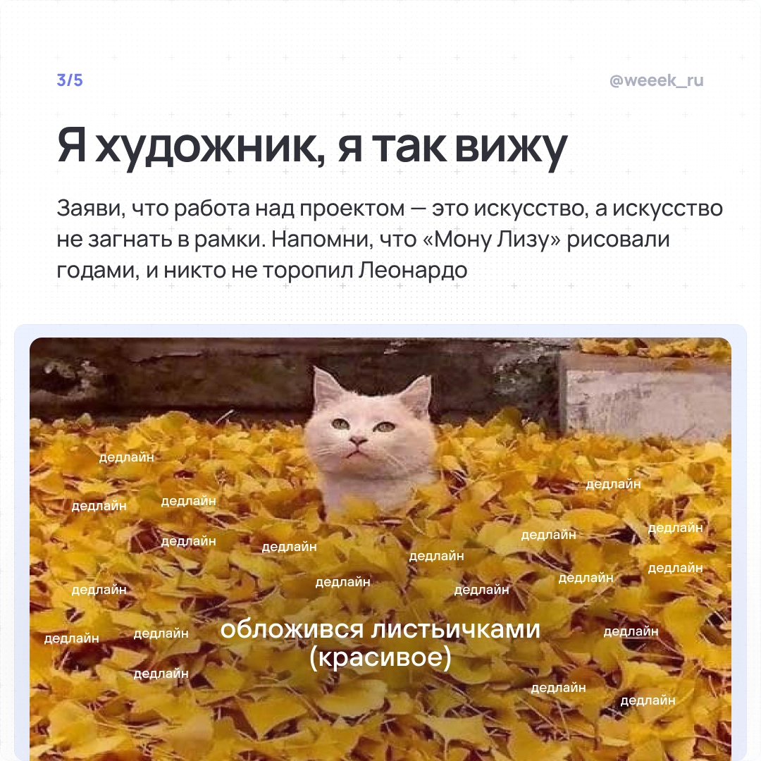 Когда дедлайн горит, а ты стоишь с огнетушителем из отмазок. 🧯 Карточки-антиинструкция: как убедить начальника, что дедлайны — выдумка, а творческому хаосу нужна свобода | Сетка — новая социальная сеть от hh.ru