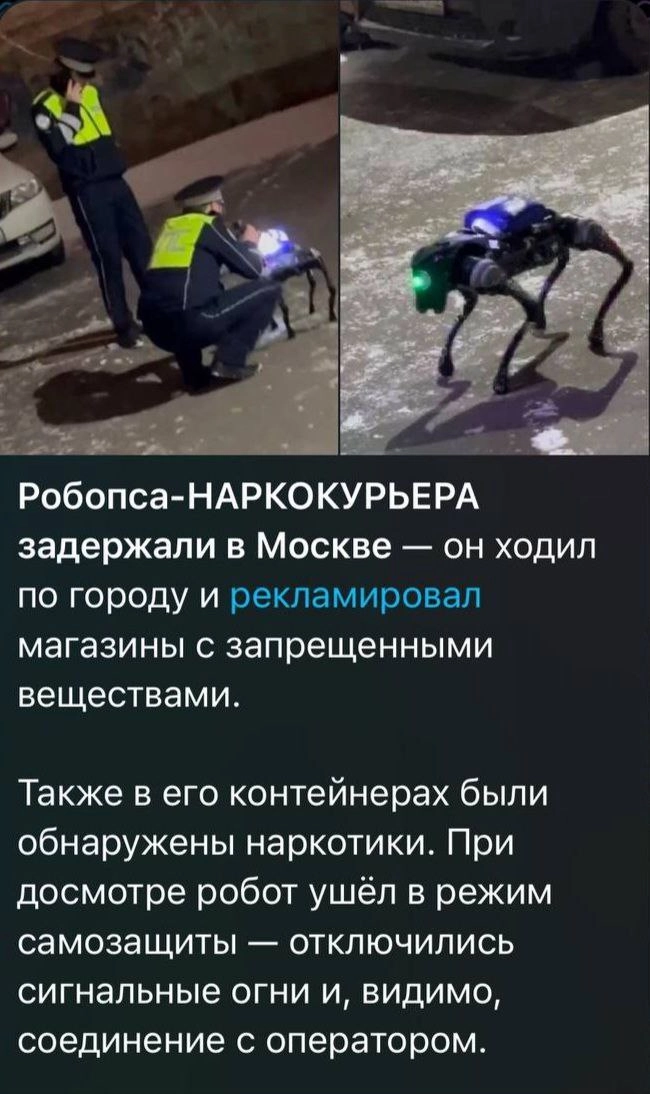 Киберпанк, который мы не заслужили
🚀@itaxaxa | Сетка — новая социальная сеть от hh.ru