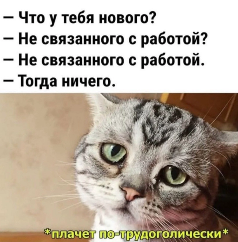 #пятничное
#career
#projectmanagement
#productmanagement
#job | Сетка — новая социальная сеть от hh.ru