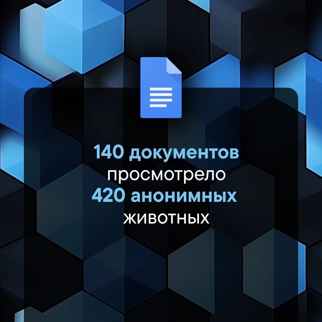 сделала жизненные итоги своего 2024 года, вот бы у всех сервисов такое было 🤡 | Сетка — новая социальная сеть от hh.ru