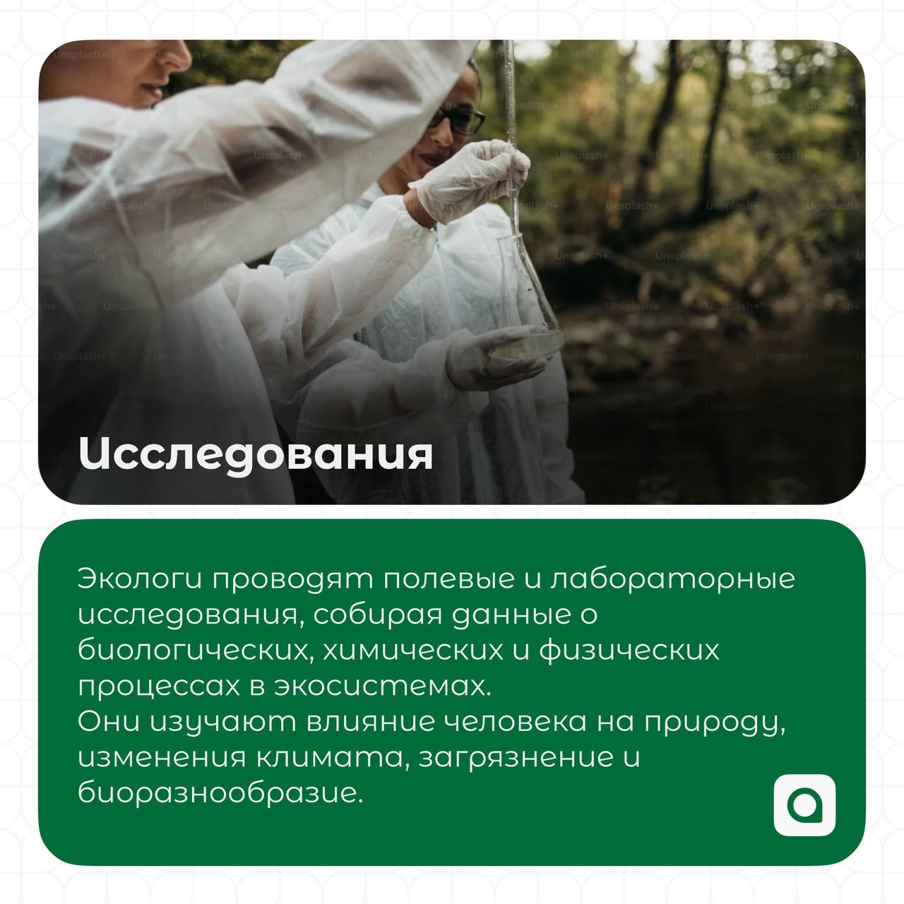 АРМ | Сетка — новая социальная сеть от hh.ru