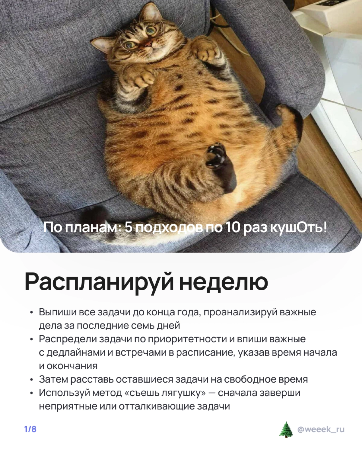 Праздники на носу, а работа — на всех остальных частях тела? 🫠 Лови карточки о том, как не сойти с ума и организовать неделю так, чтобы и дедлайны закрыл, и салатик нарезал. Вдох, выдох, листай! | Сетка — новая социальная сеть от hh.ru