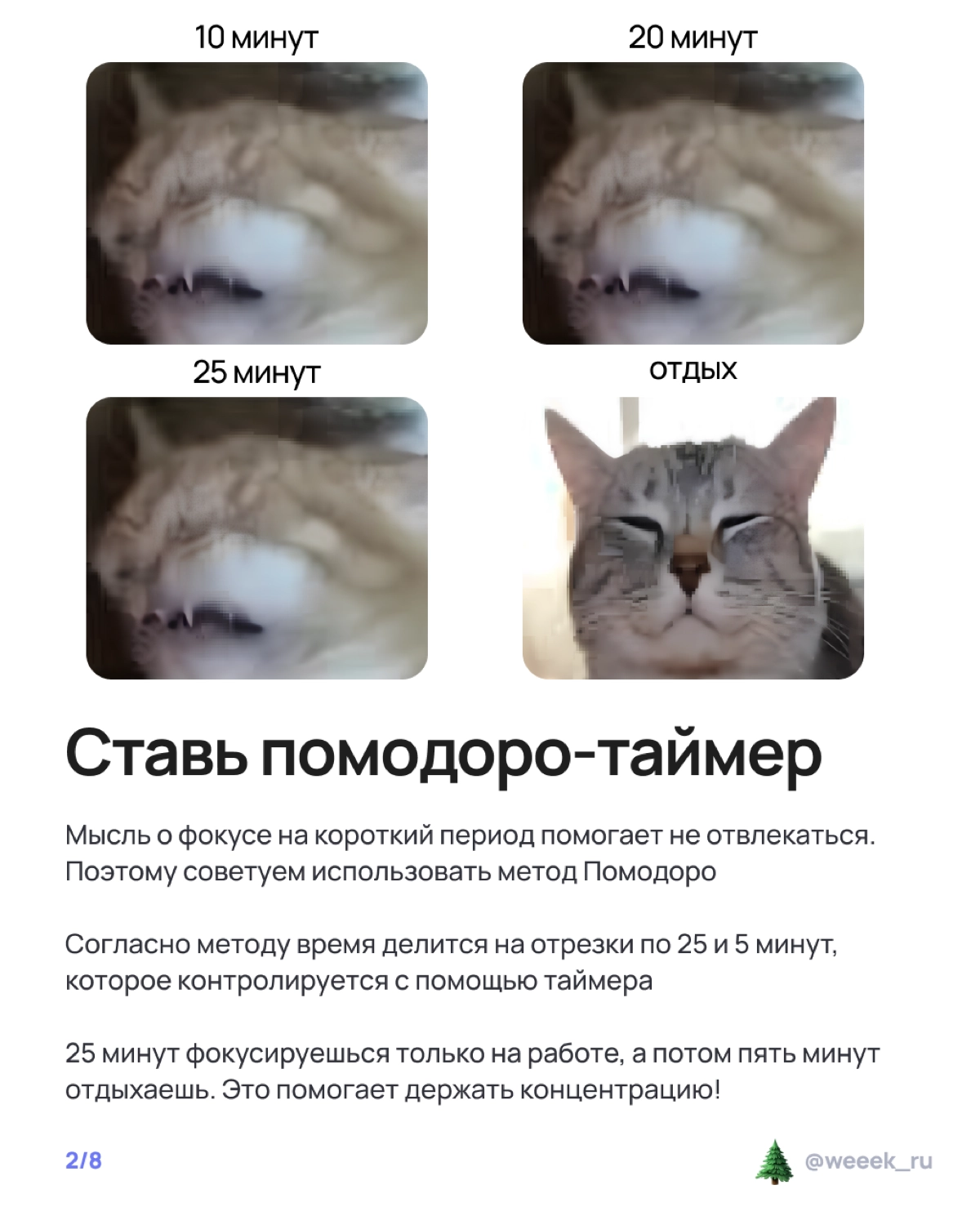 Праздники на носу, а работа — на всех остальных частях тела? 🫠 Лови карточки о том, как не сойти с ума и организовать неделю так, чтобы и дедлайны закрыл, и салатик нарезал. Вдох, выдох, листай! | Сетка — новая социальная сеть от hh.ru