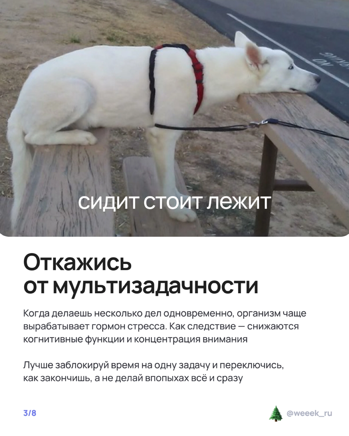 Праздники на носу, а работа — на всех остальных частях тела? 🫠 Лови карточки о том, как не сойти с ума и организовать неделю так, чтобы и дедлайны закрыл, и салатик нарезал. Вдох, выдох, листай! | Сетка — новая социальная сеть от hh.ru