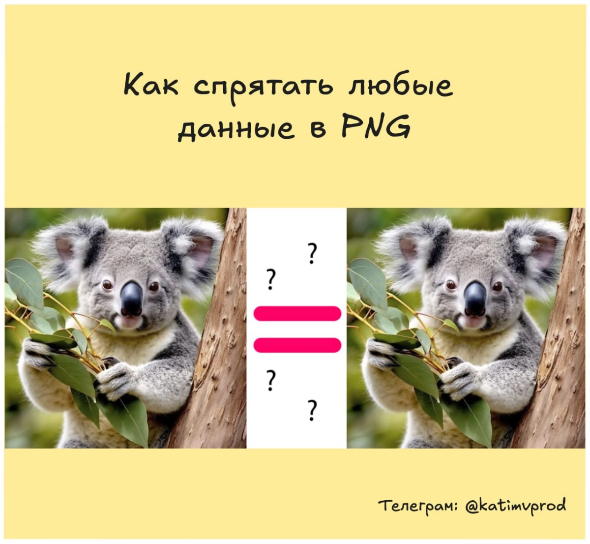 Как спрятать любые данные в PNG 📸 | Сетка — новая социальная сеть от hh.ru
