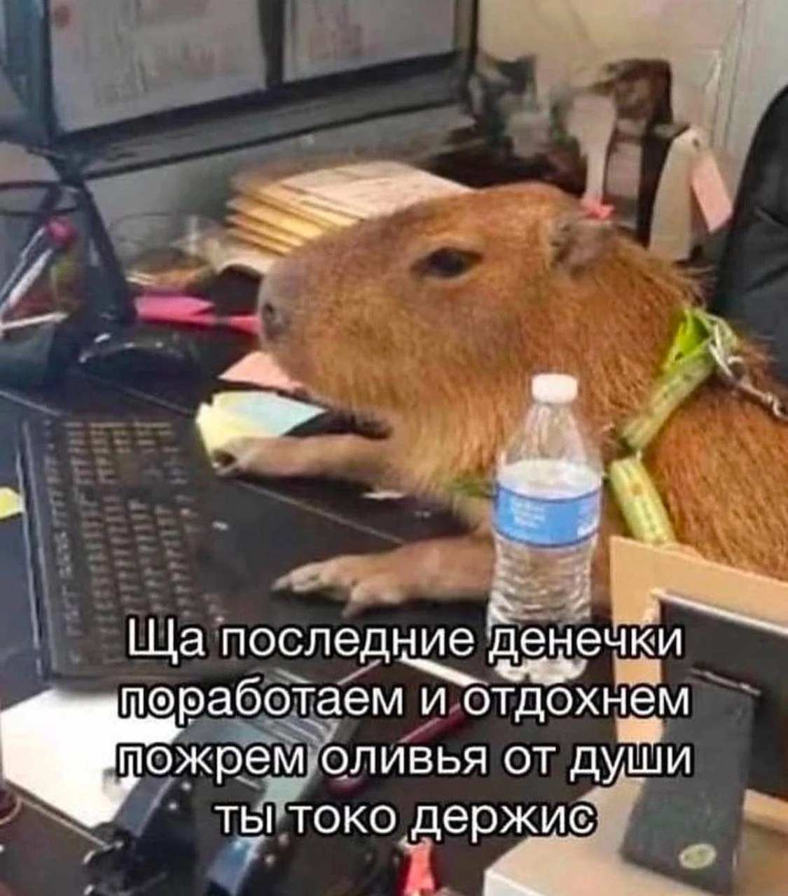 Коллеги, еще чутчут | Сетка — новая социальная сеть от hh.ru