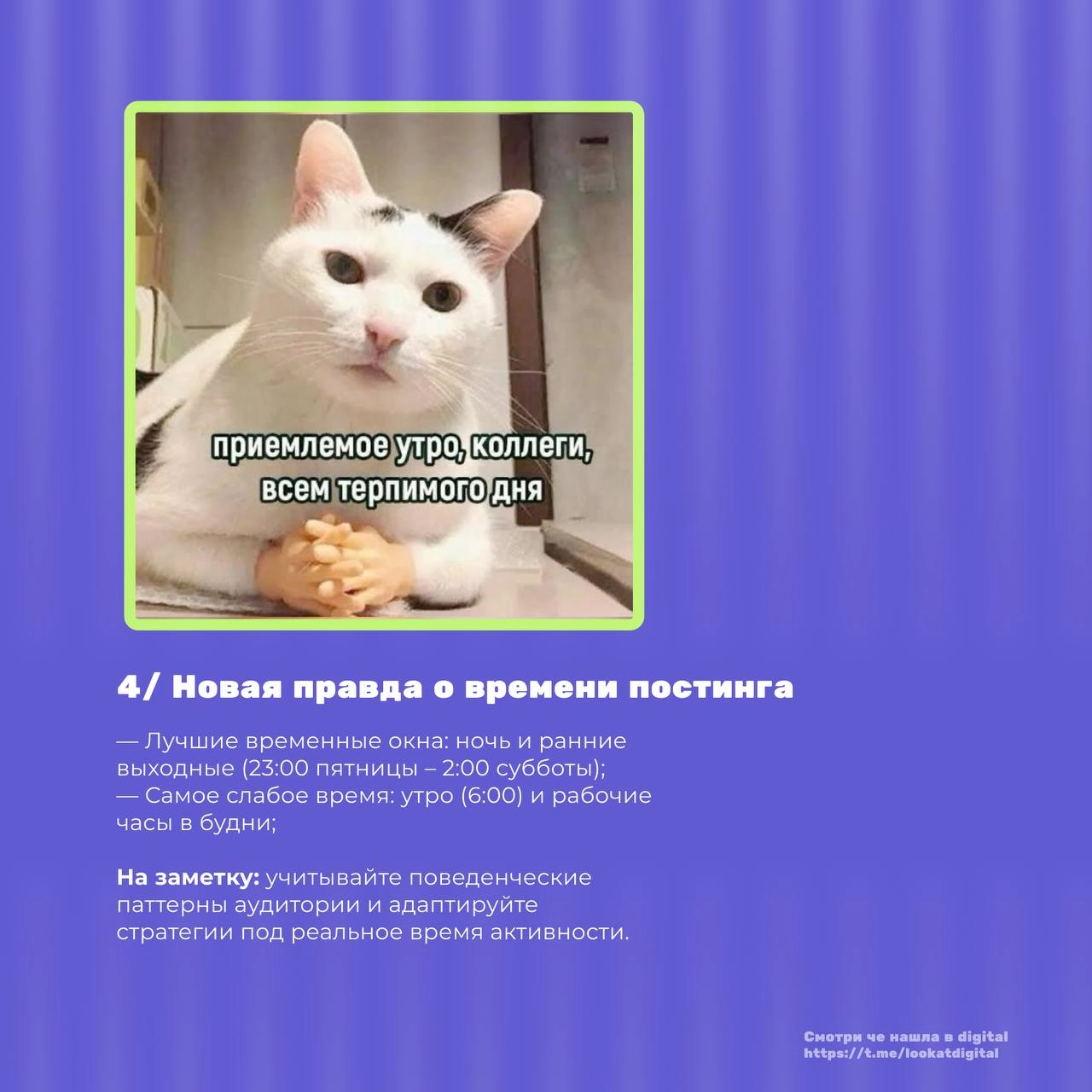 Одиночество с мобилками в час ночи — какие тренды и итоги будут диктовать маркетологам что делать в 2025
Я не удивлю вас ни мобайл ферст ни даже геймификацией | Сетка — новая социальная сеть от hh.ru