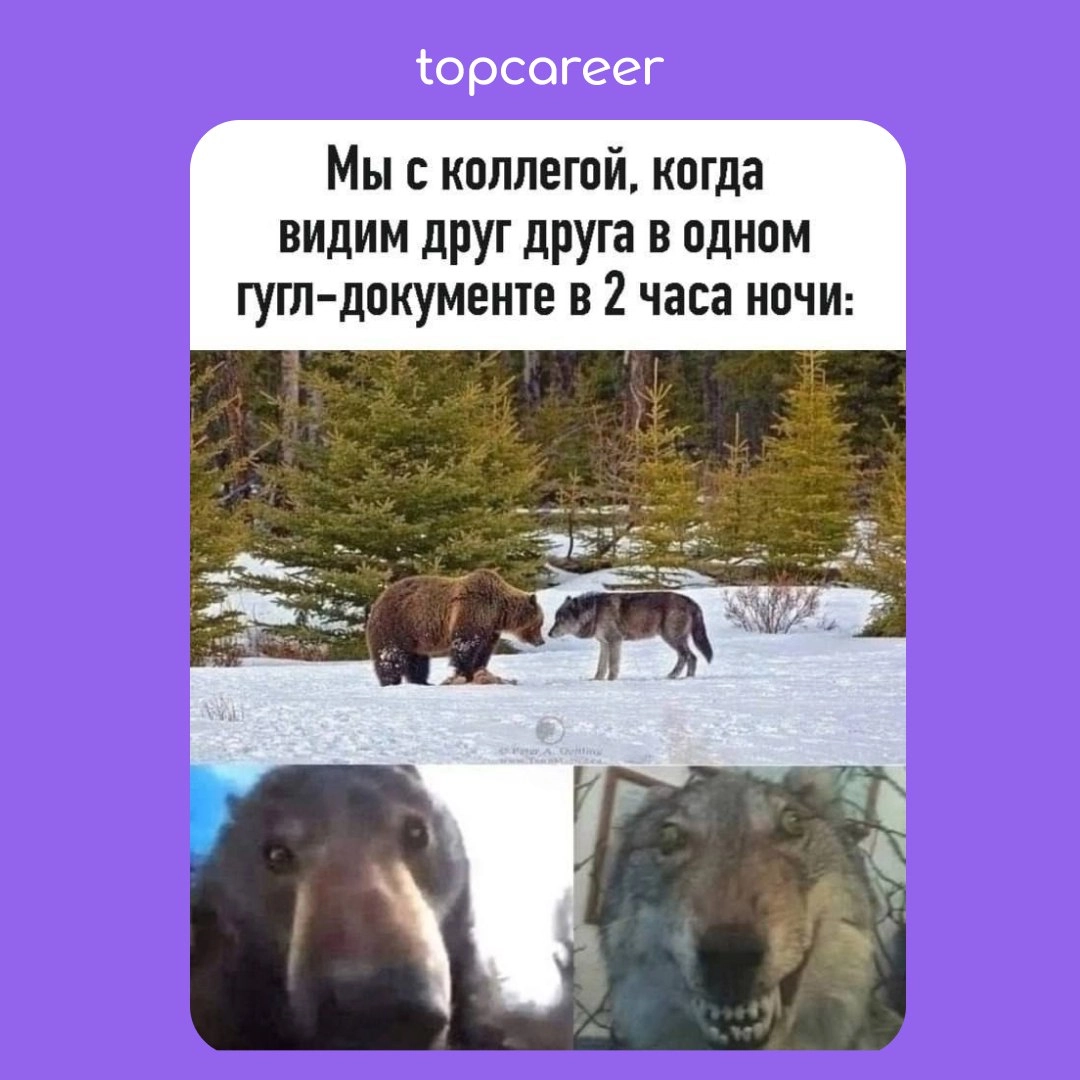 🎁🎁🎁🎁🎁🎁🎁 Самое время сделать это...
Посмотреть HR-мемы 👀
Коллеги, знаем, что большинство уже в предвкушении Нового года, кто-то бегает за подарками, кто-то делает заготовки для салатов | Сетка — новая социальная сеть от hh.ru