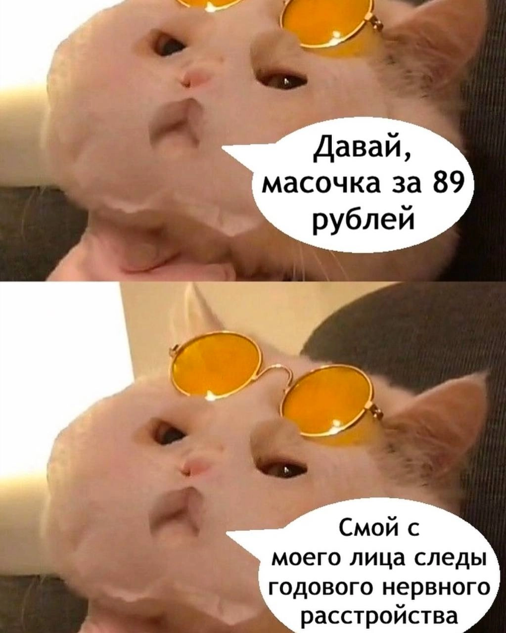 Мем
Продолжаю рубрику позавчерашний мем, мне нравится. 
Делись в комментариях своим любимым мемом прошлой недели*
#мемвшляпе | Сетка — новая социальная сеть от hh.ru