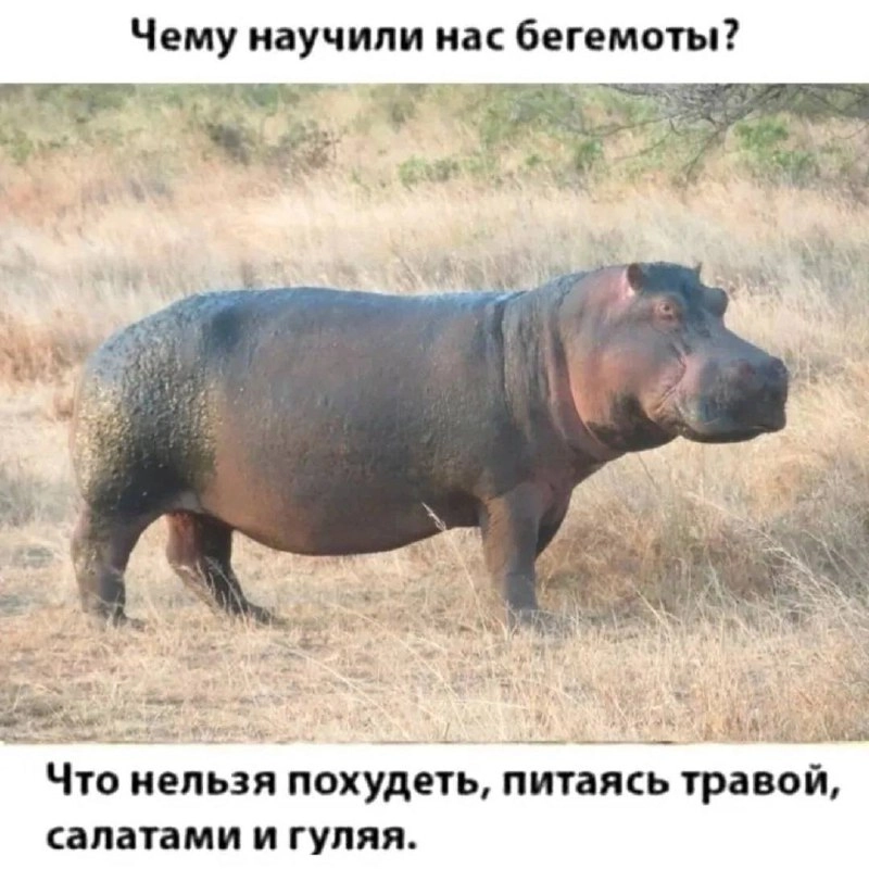 Сетка — социальная сеть от hh.ru