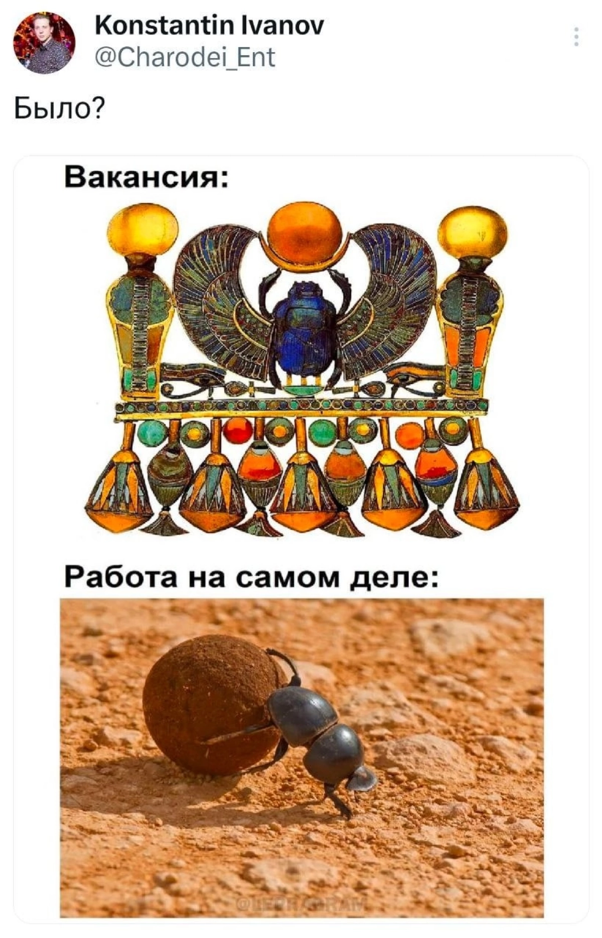 Наконец-то дошли руки написать пост!
С Новым годом, дорогие! 😻🎊🍾
2025 не обещает быть лёгким, но вам я желаю, чтобы работа, которую вы найдёте в этом году, не была такой, как на этой картинке 😁
Удачи ... | Сетка — новая социальная сеть от hh.ru