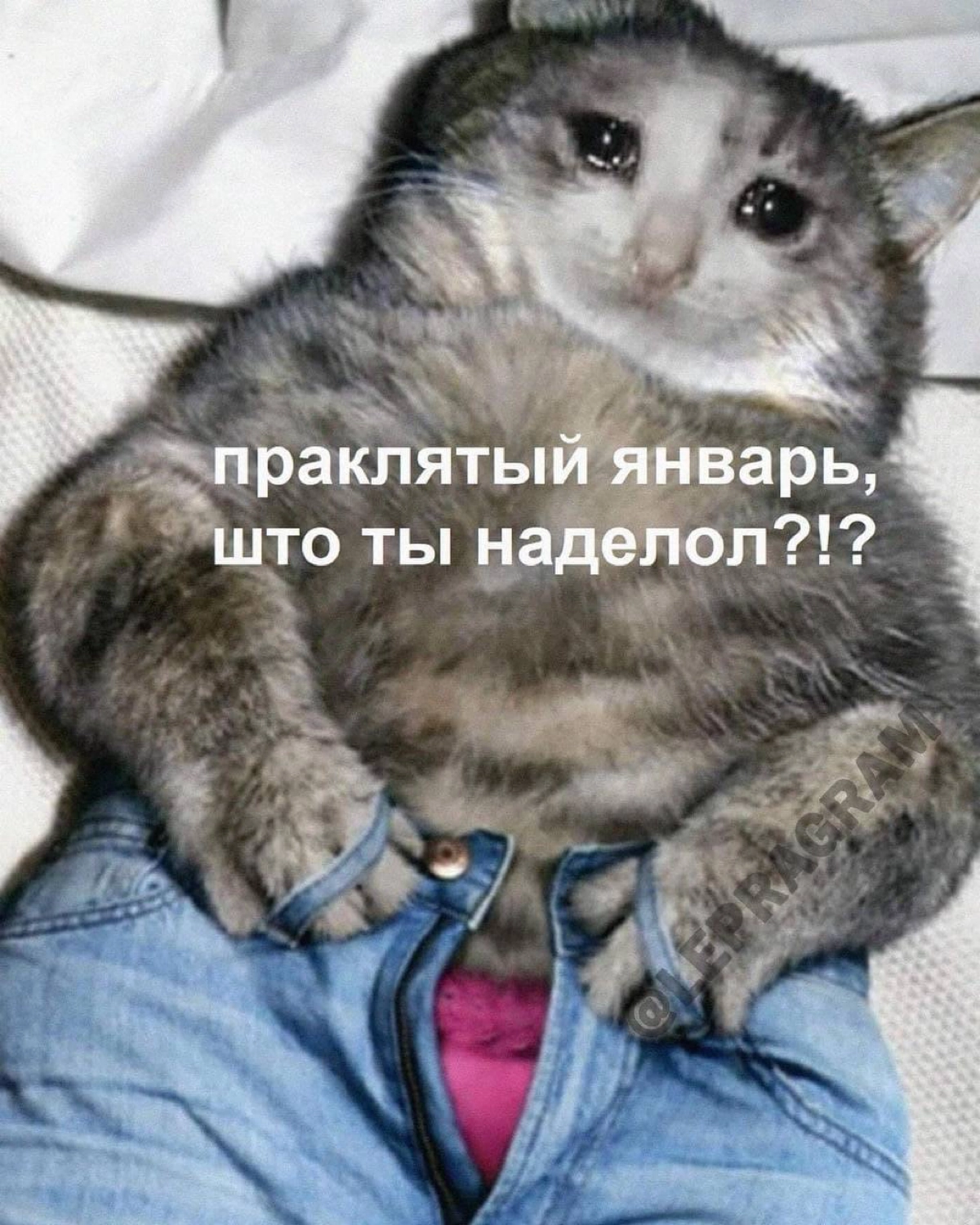 Че, пишите как вы там!
#life
#career | Сетка — новая социальная сеть от hh.ru