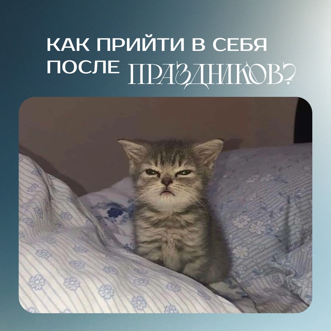 💡 Как быстро прийти в себя после новогодних праздников?
Спойлер: никак…
😌 Тупить, залипать в сериалы и медленно перестраиваться — абсолютно нормально | Сетка — новая социальная сеть от hh.ru