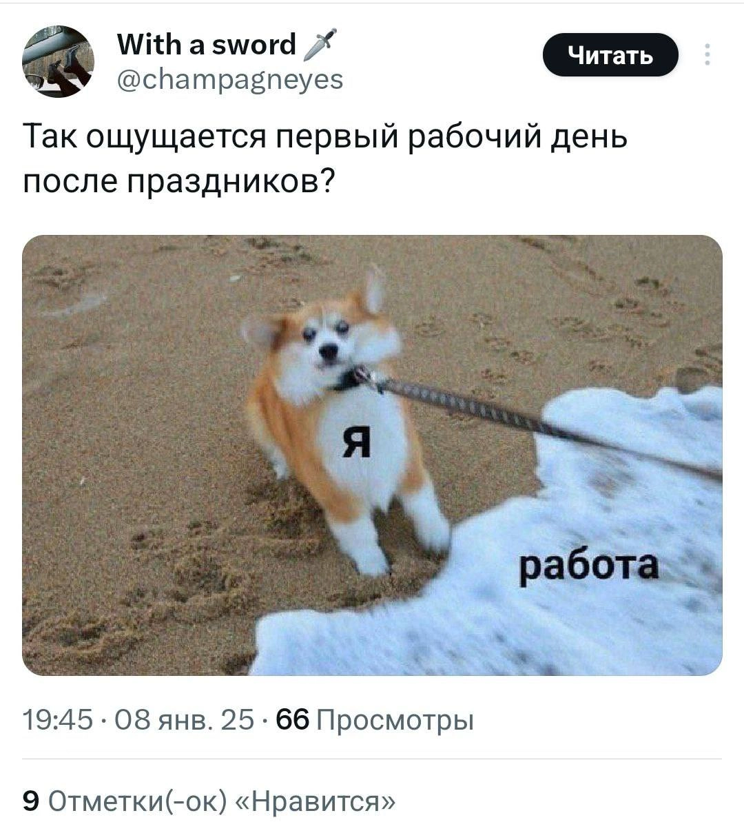 Ну, как же без мема, коллеги | Сетка — новая социальная сеть от hh.ru