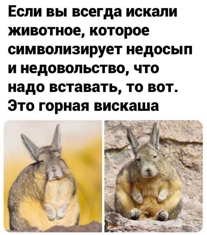 Все мы в первый рабочий день, особенно, когда пришлось идти в офис 🏢 | Сетка — новая социальная сеть от hh.ru