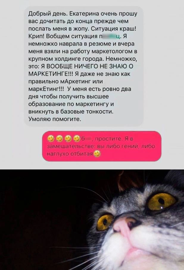 #пятничное
#career | Сетка — новая социальная сеть от hh.ru