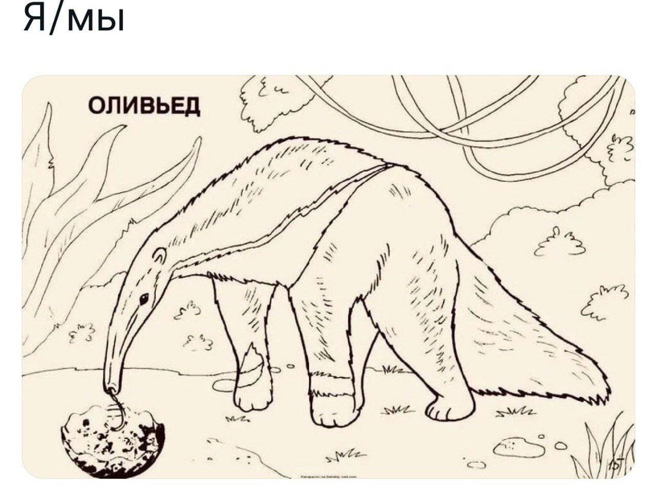 ⚡️Сегодня первая рабочая пятница 2025, а это значит пора обмениваться мемами! Куда без них в эту самую сложную двухдневную неделю! 
Запускаю карусель мемов с актуального постпраздничного🍾
Публикуй мем... | Сетка — новая социальная сеть от hh.ru