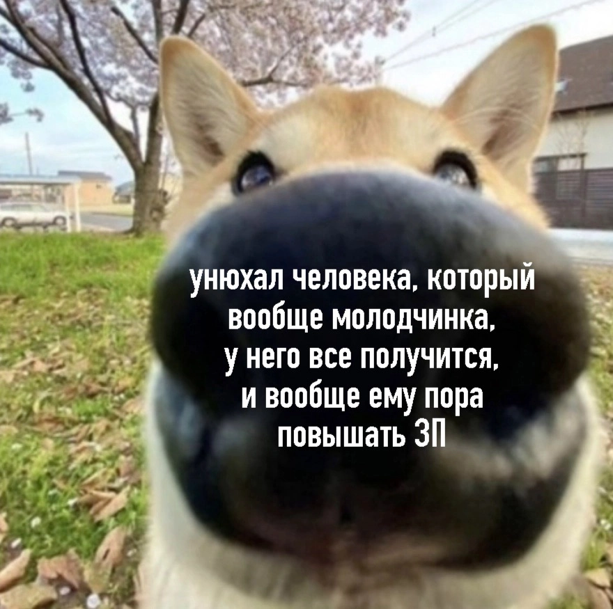 Ну что, коллеги, январь – время осуществлять свои профессиональные мечты.
Если прямо сейчас ты хочешь сменить работу, то у меня есть для тебя крутые вакансии | Сетка — новая социальная сеть от hh.ru