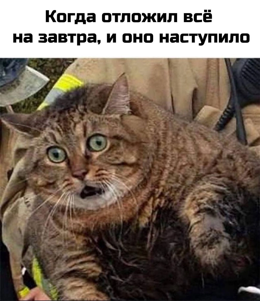 А вчера это казалось хорошим решением
🚀@itaxaxa | Сетка — новая социальная сеть от hh.ru
