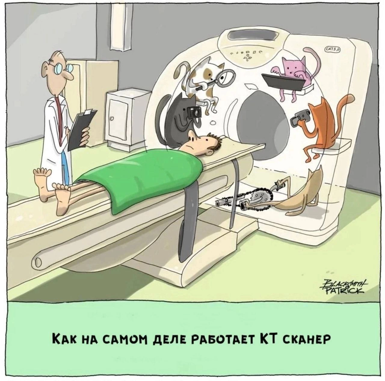 Сетка — социальная сеть от hh.ru