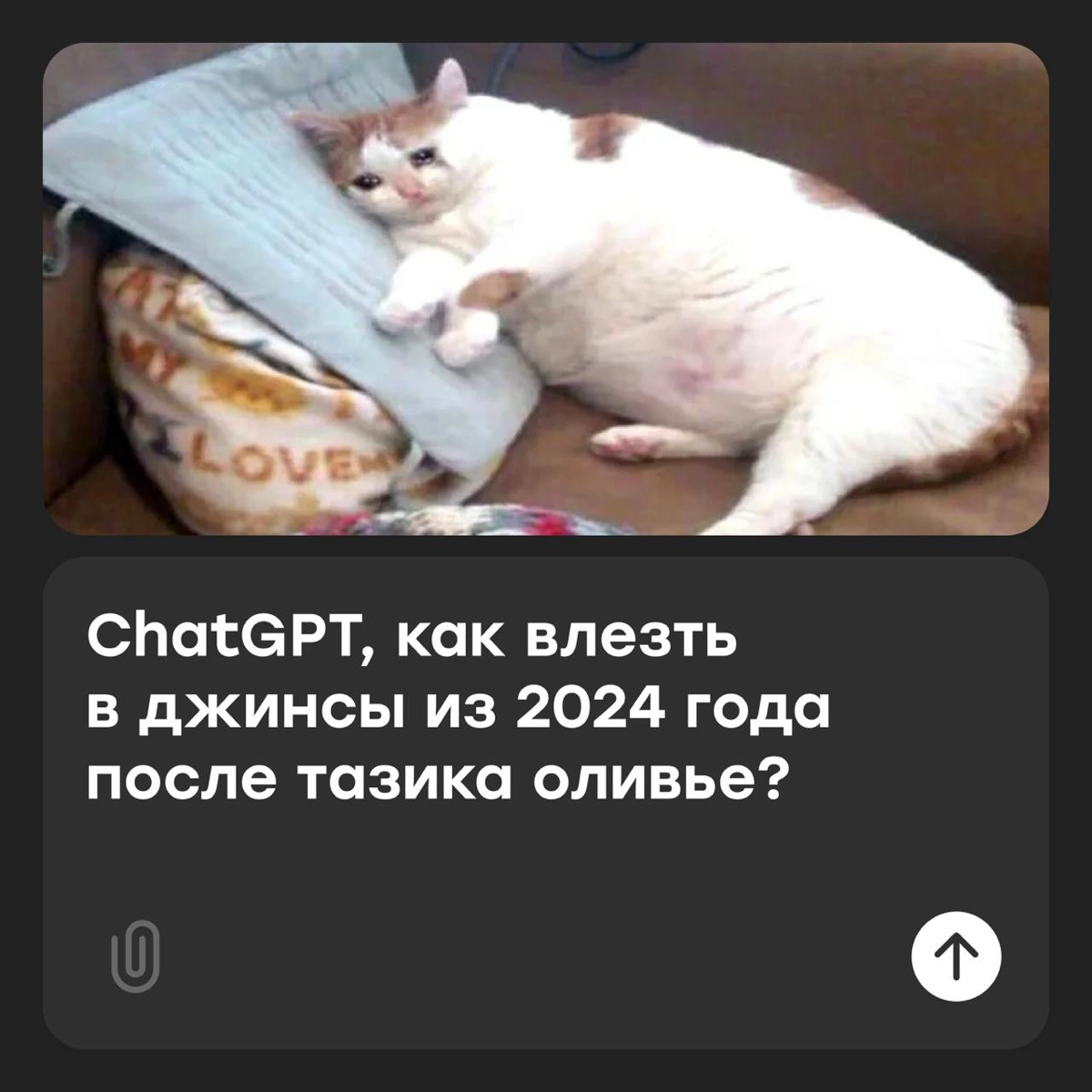 ChatGPT, как влезть в джинсы после тазика оливье? | Сетка — новая социальная сеть от hh.ru