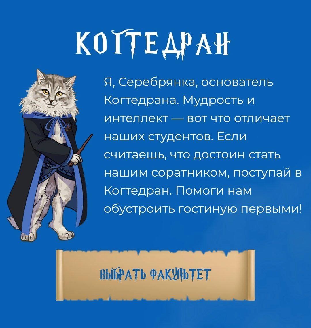 🧙‍♀ Есть тут настоящие волшебники?🪄
Благотворительный фонд «Рука помощи бездомным животным» открыл Котгвартс — первую школу волшебства для хвостатых студентов | Сетка — новая социальная сеть от hh.ru