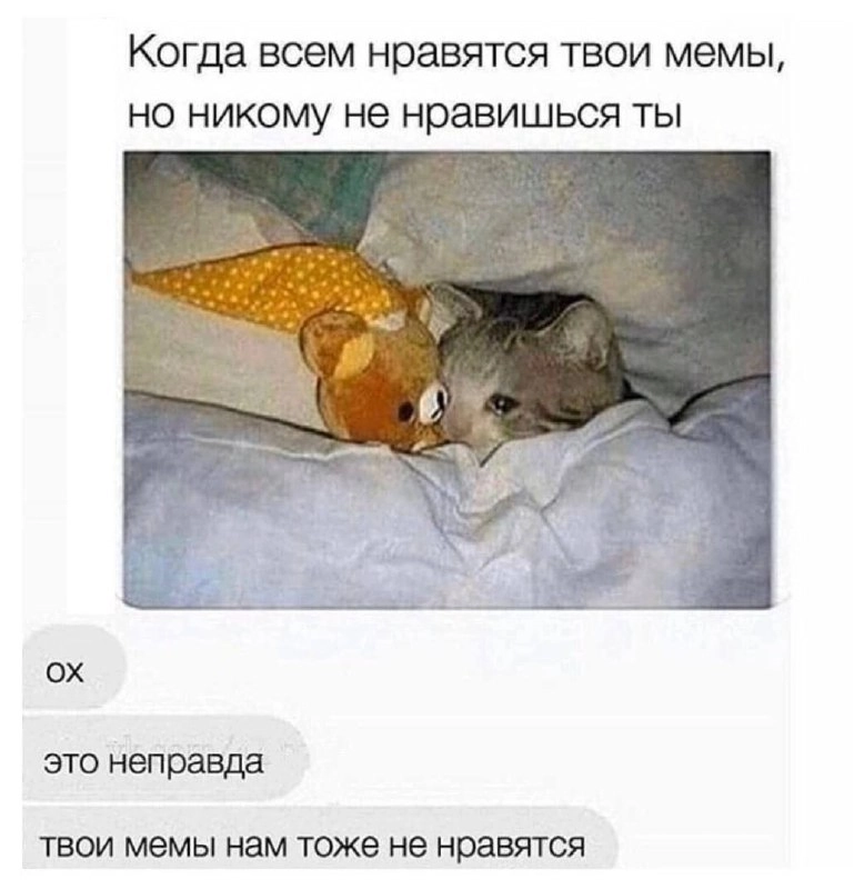 Сетка — социальная сеть от hh.ru