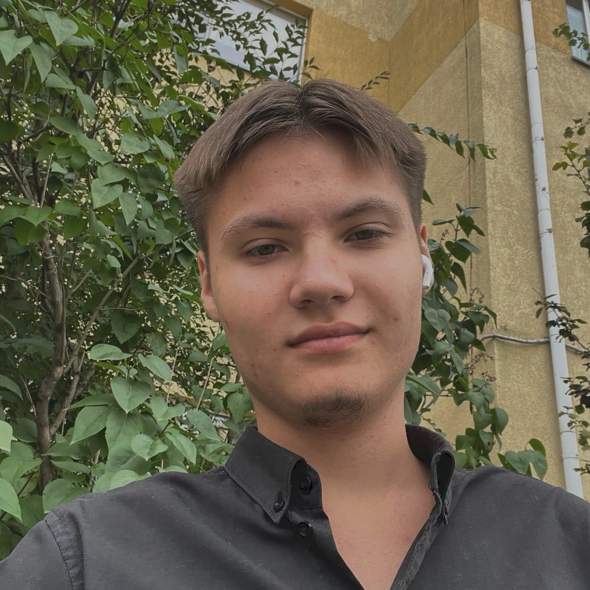 profile avatar