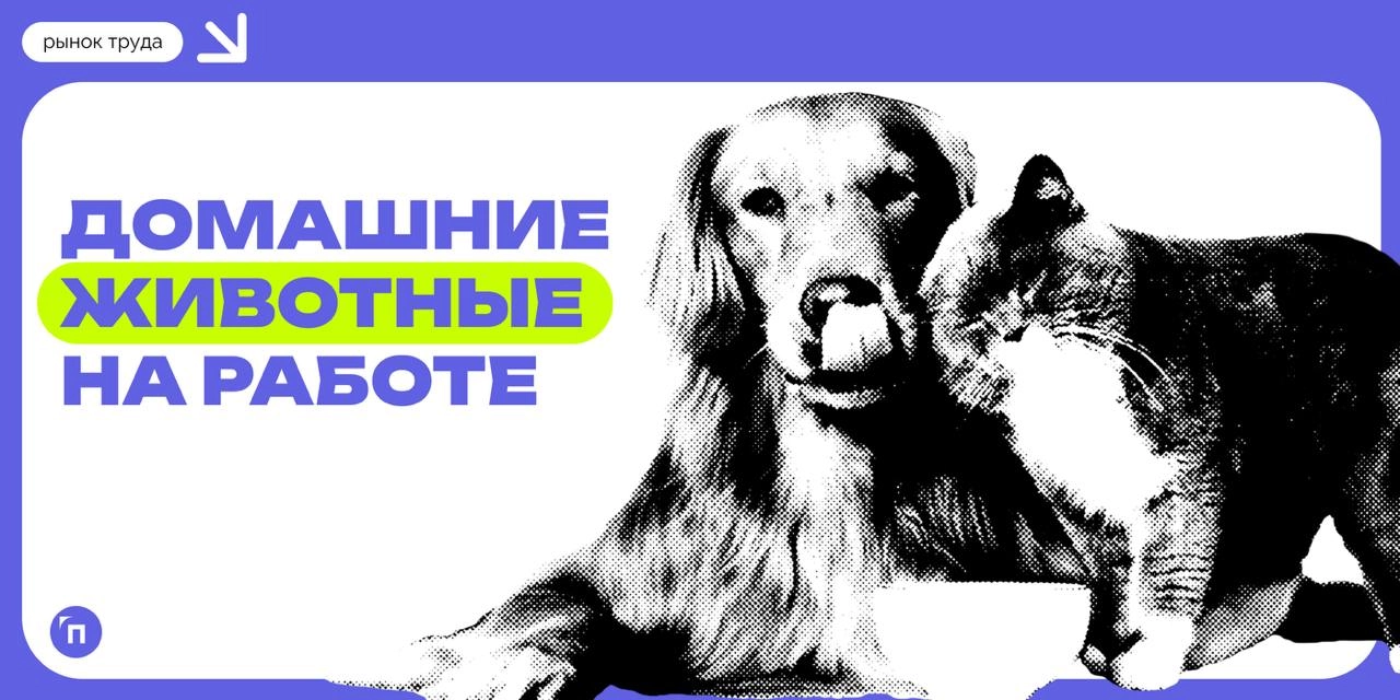 📊 Владельцы домашних животных все чаще мечтают брать питомцев с собой на работу, однако 4 из 10 их коллег против кошек и собак в офисах
Время от времени брать с собой на работу кота или собаку мечтает... | Сетка — новая социальная сеть от hh.ru