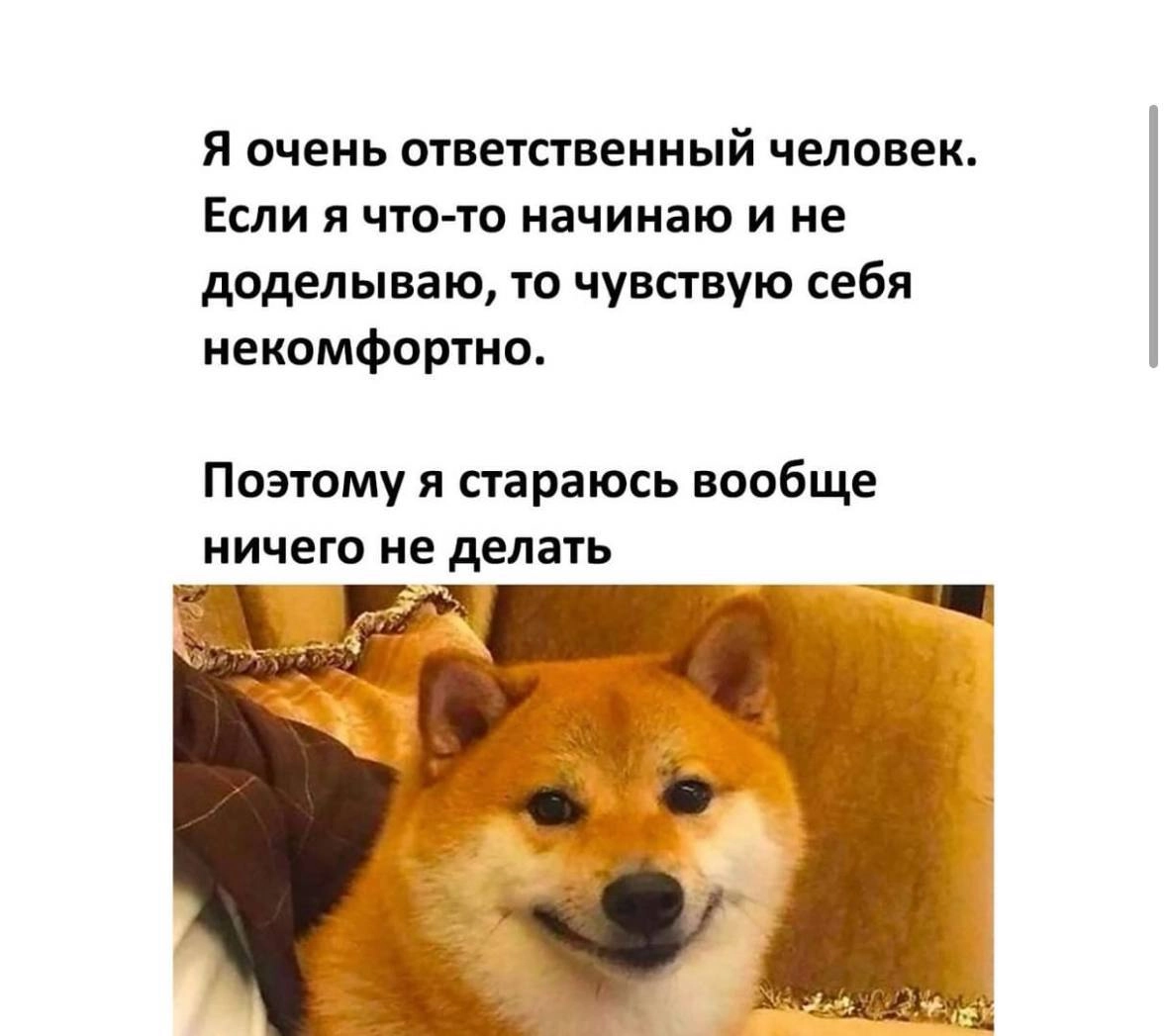 Психологическое состояние наших сотрудников крайне важно, поэтому выдохните и чуток отвлекитесь на мемы 😮‍💨🫂 | Сетка — новая социальная сеть от hh.ru